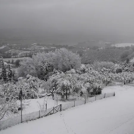 A Casa Di Mi Montefalco