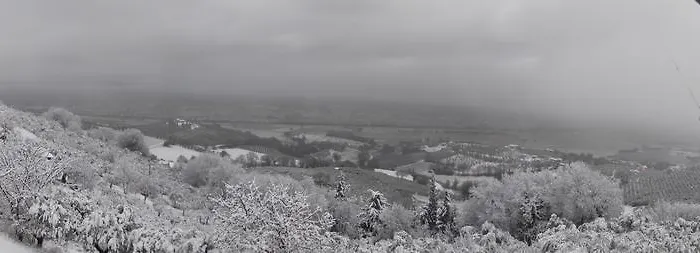 A Casa Di Mi ゲストハウス モンテファルコ